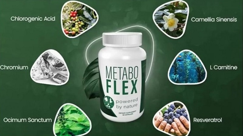 metabo flex ingredients