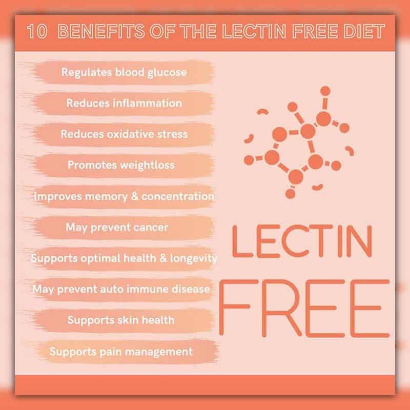 are eggs ok on a lectin-free diet
