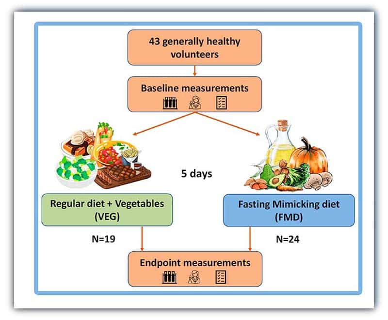 what is a fasting-mimicking diet