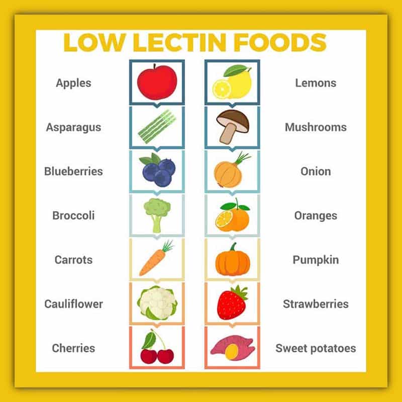 lectin free diet yes and no list
