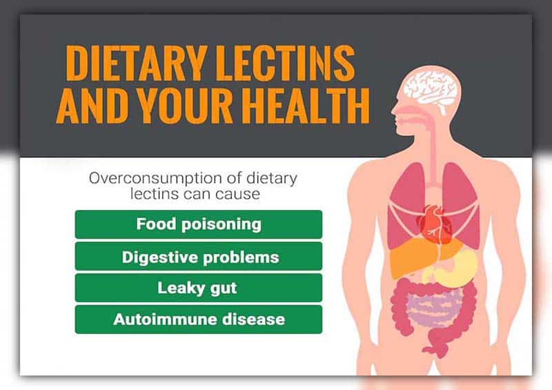 is a lectin free diet healthy