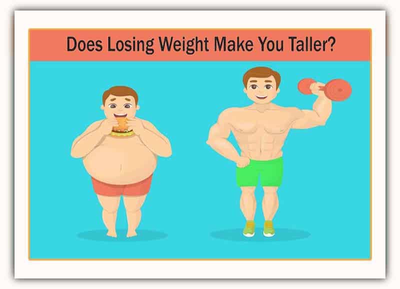 does losing weight make you taller