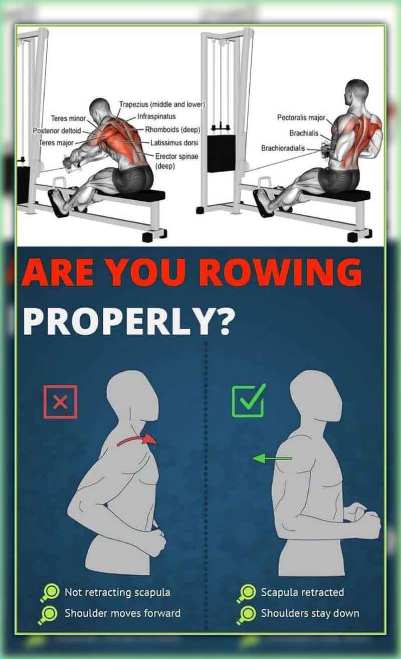 rowing machine for.weight loss